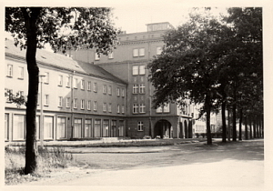 Senftenberg